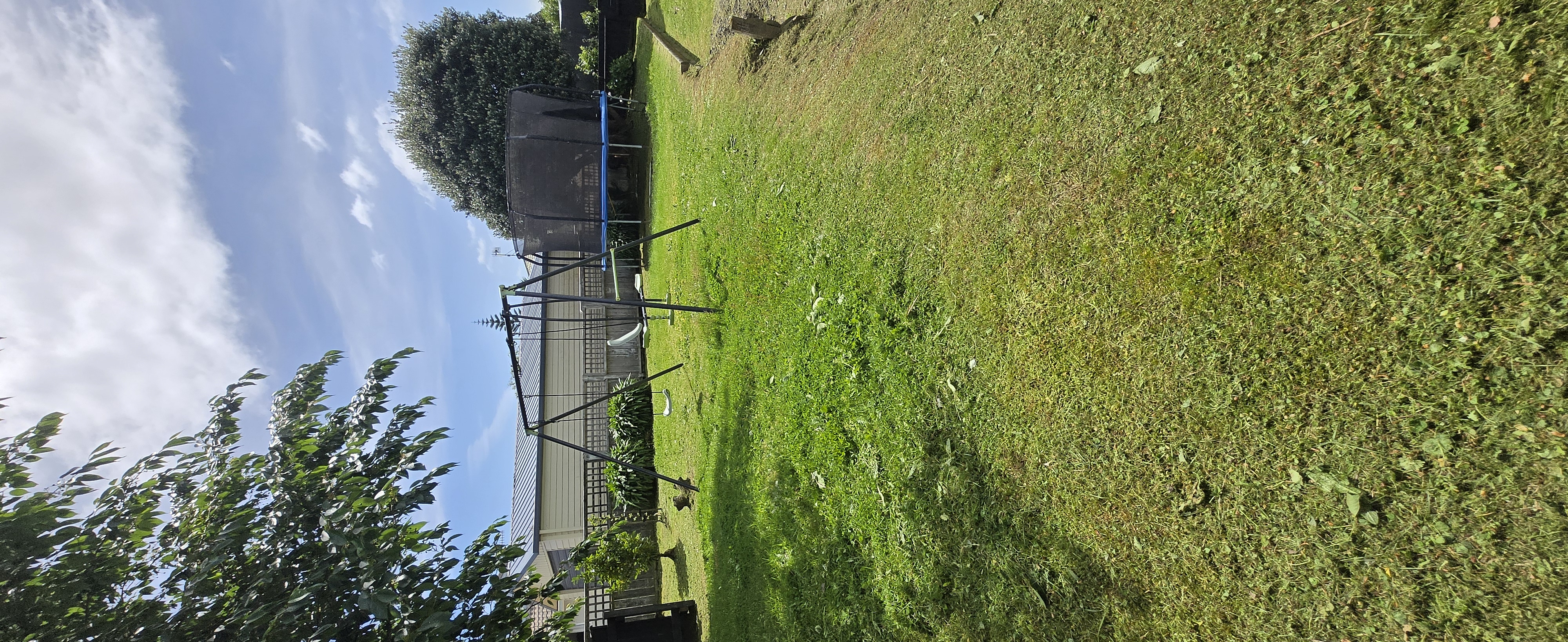 Neat lawn edges along footpath